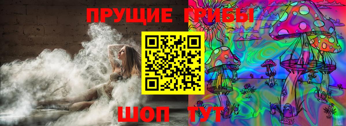 Псилоцибиновые грибы Psilocybine cubensis Михайловск